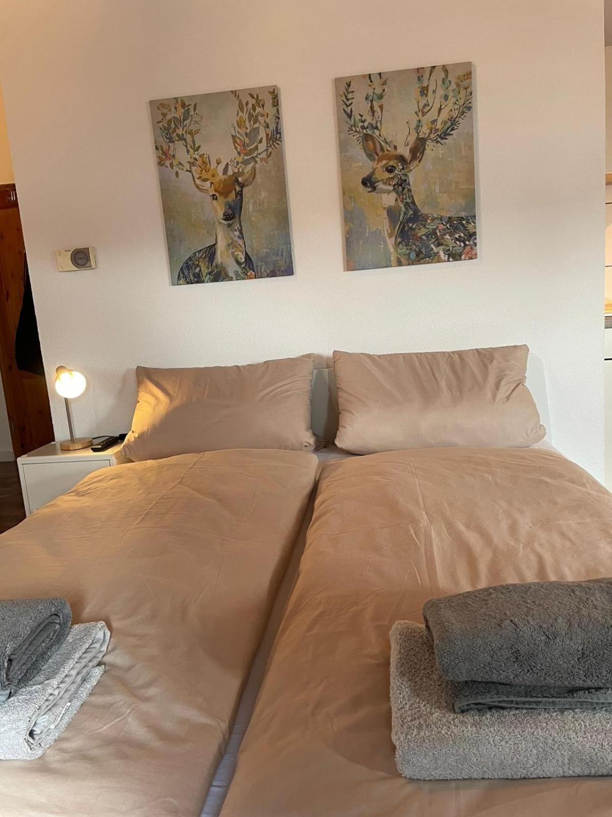Apartment Kleiner Muenz 科布倫茨 外观 照片